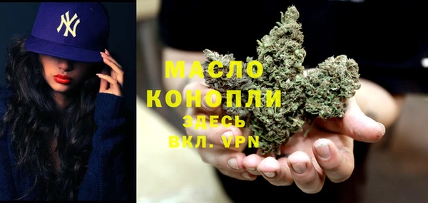 индика Кулебаки