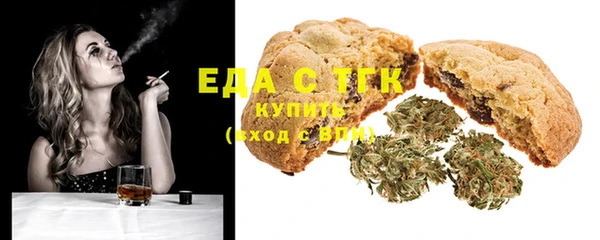 индика Кулебаки