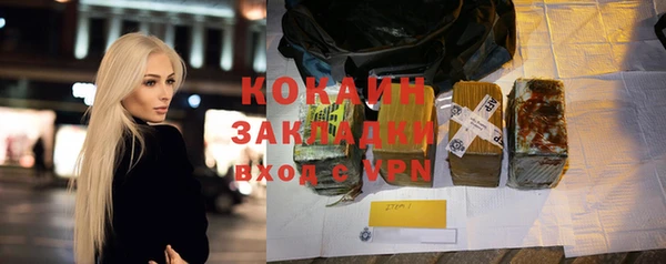 индика Кулебаки