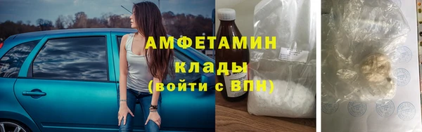 индика Кулебаки