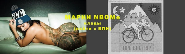 индика Кулебаки
