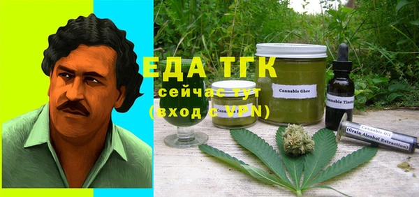 индика Кулебаки
