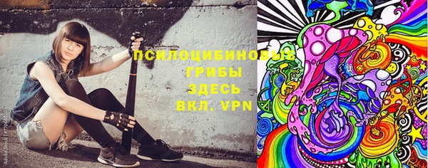 индика Кулебаки