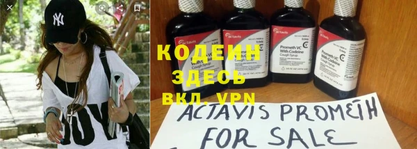 индика Кулебаки