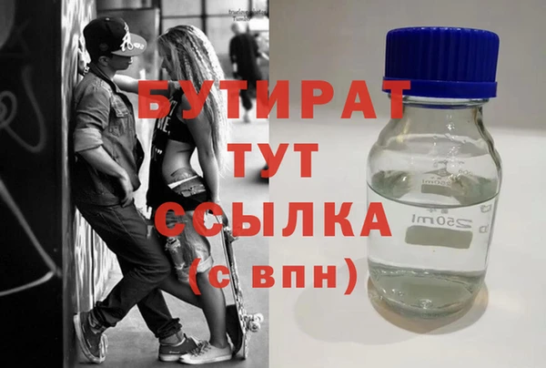 индика Кулебаки