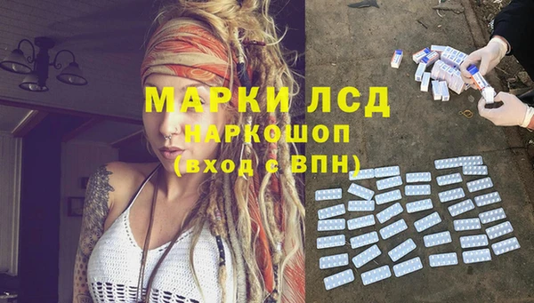 индика Кулебаки
