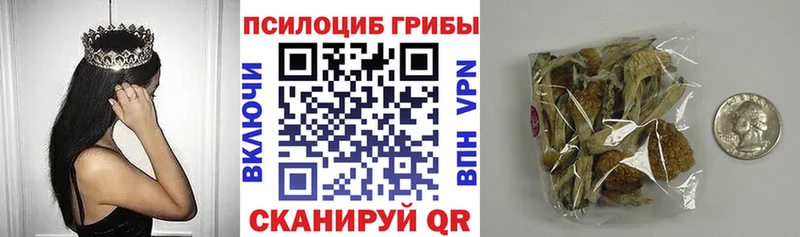 Псилоцибиновые грибы мухоморы  Шимановск 